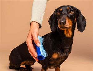 Tangle Teezer - Pet Teezer Deshedding Small Blue / Light Blue