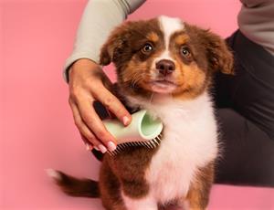 Tangle Teezer - Pet Teezer Puppy Brush Green / Green