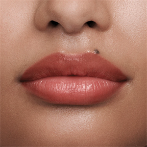 The Tinted Lip Balm Shade 2 4 g