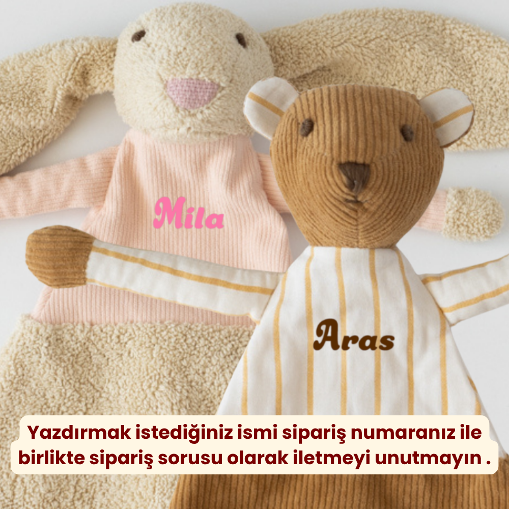 İsme Özel Ayı Uyku Arkadaşı 