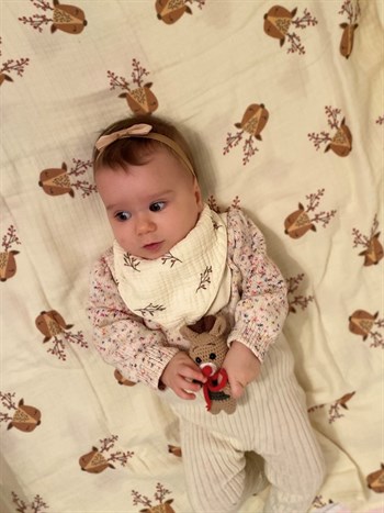 Deer Yoyo Set- Blanket & Bandana Bibs