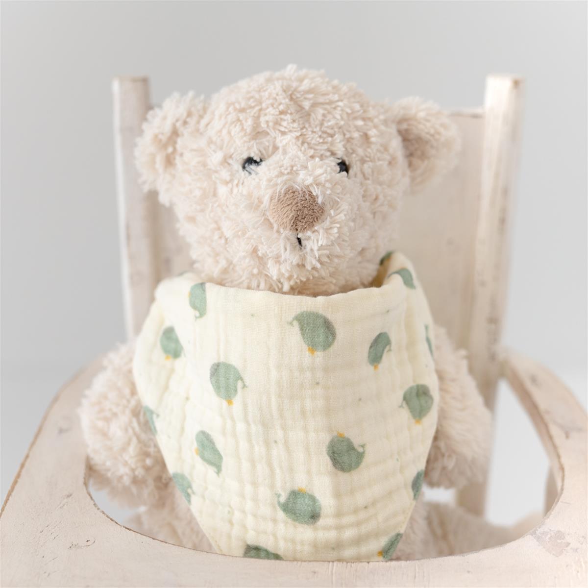 Baby Bandana Bibs- Whaley