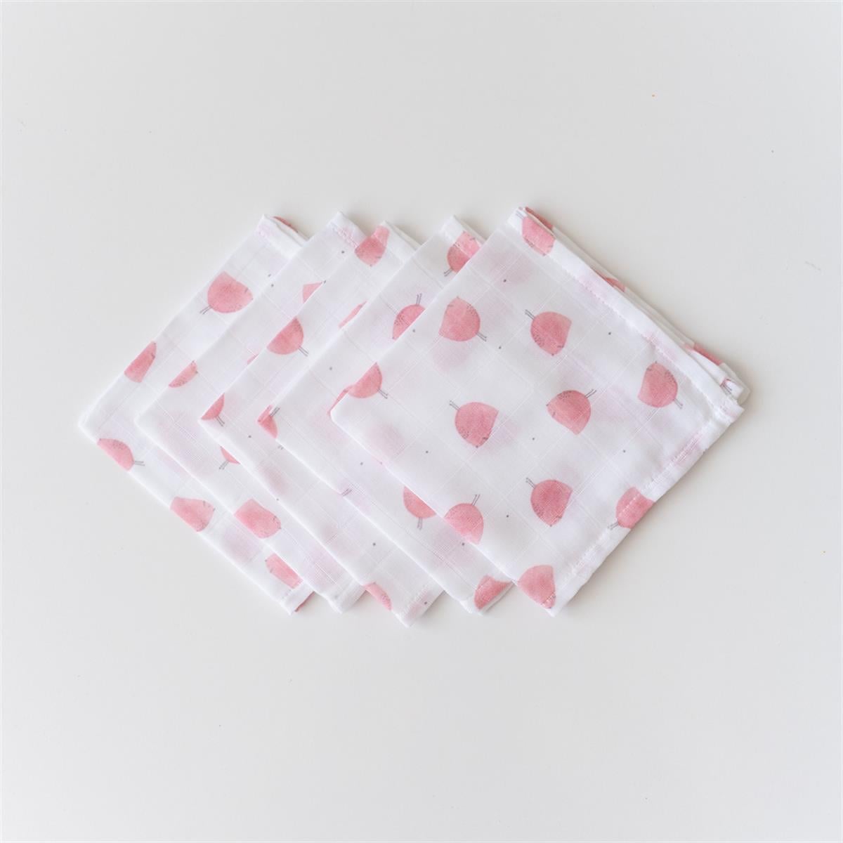 Burp Clothes set of 5 - 30x30cm- Big Bird