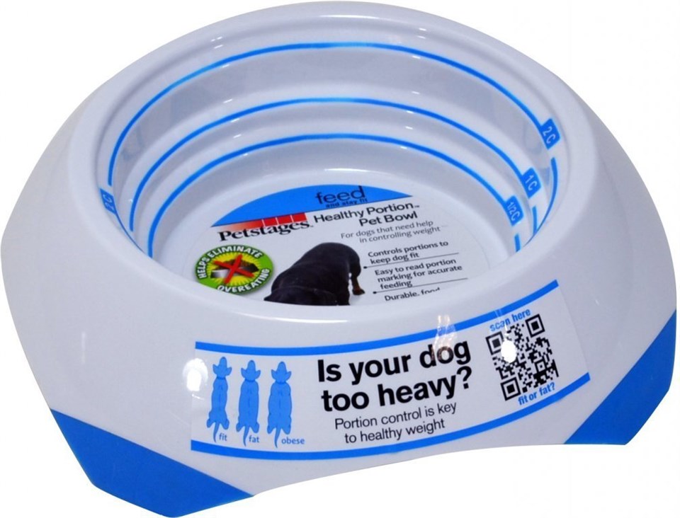 petstages-healthy-portion-pet-bowl-2-c-97-981.jpg