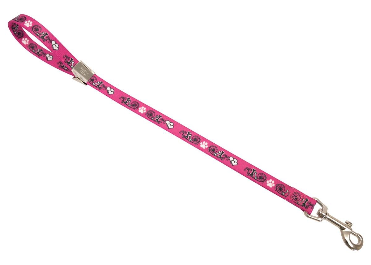 show-tech-grooming-noose-with-pawprint--4ada-.jpg
