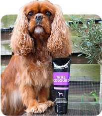 Animology True Colours Shampoo Renkli Tüylü Köpekler için Özel Şampuan 250  ML - ATC250