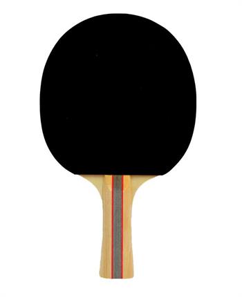 Slazenger Champion ITTF Onaylı Masa Tenis Raketi