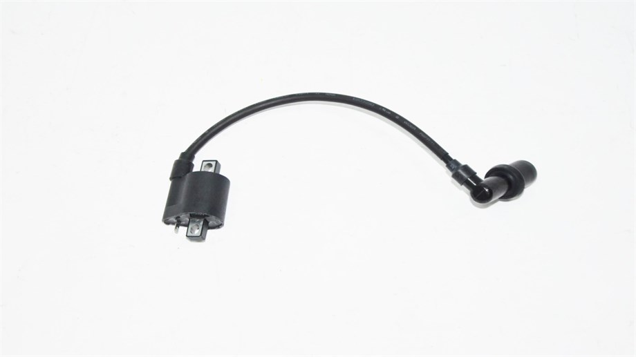 ATEŞLEME BOBİNİ (ROCCA 100)