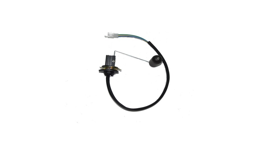 BENZİN ŞAMANDIRASI (BLUEBERRY)