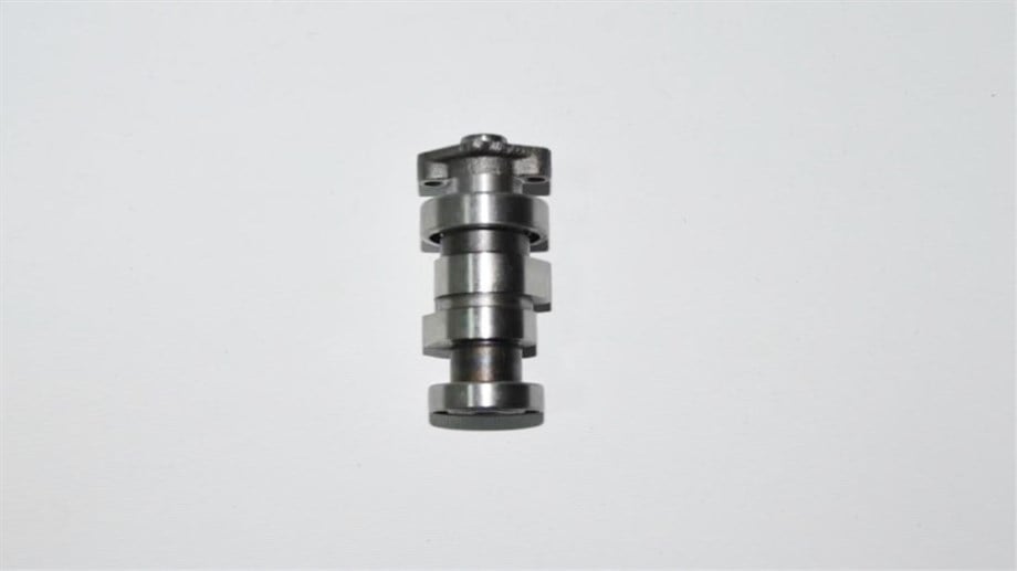 EGZANTRİK MİLİ (RS100)