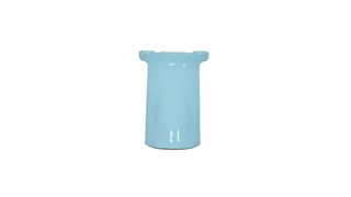 ÖN ÇAMURLUK EKİ (BLUEBERRY)