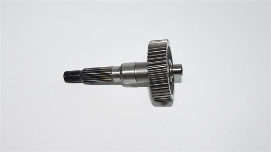 ARKA ŞANZIMAN DİŞLİSİ (RS100)