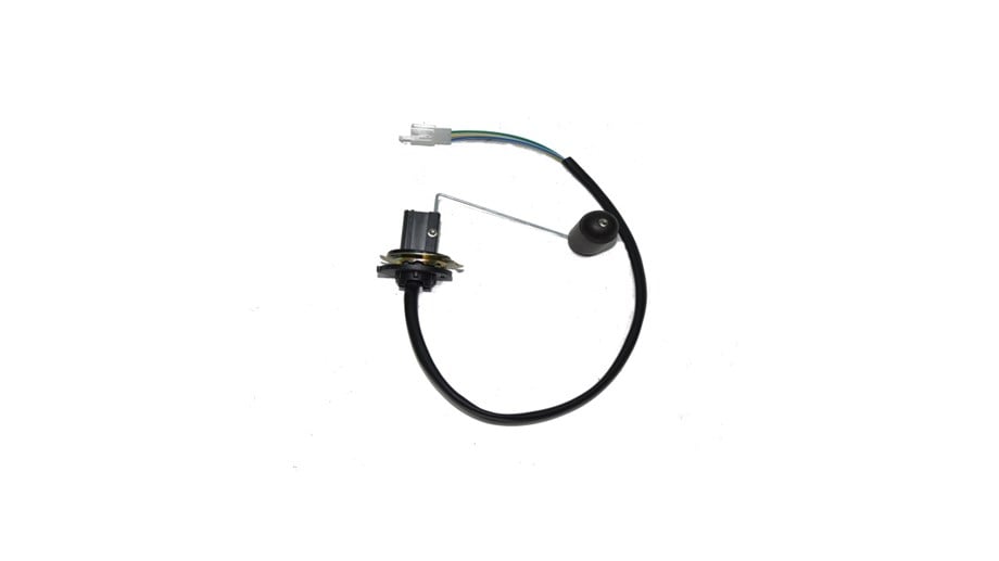 BENZİN ŞAMANDIRASI (BLUEBERRY)