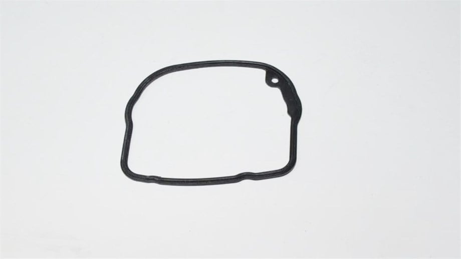 ORİNG CONTA (RS100)