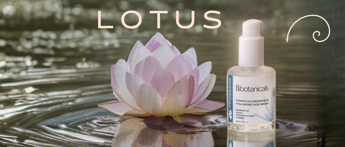 Lotus