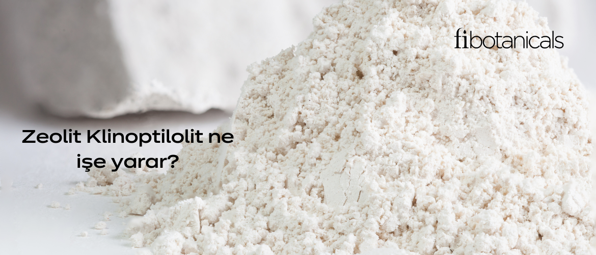 Zeolit ne işe yarar?