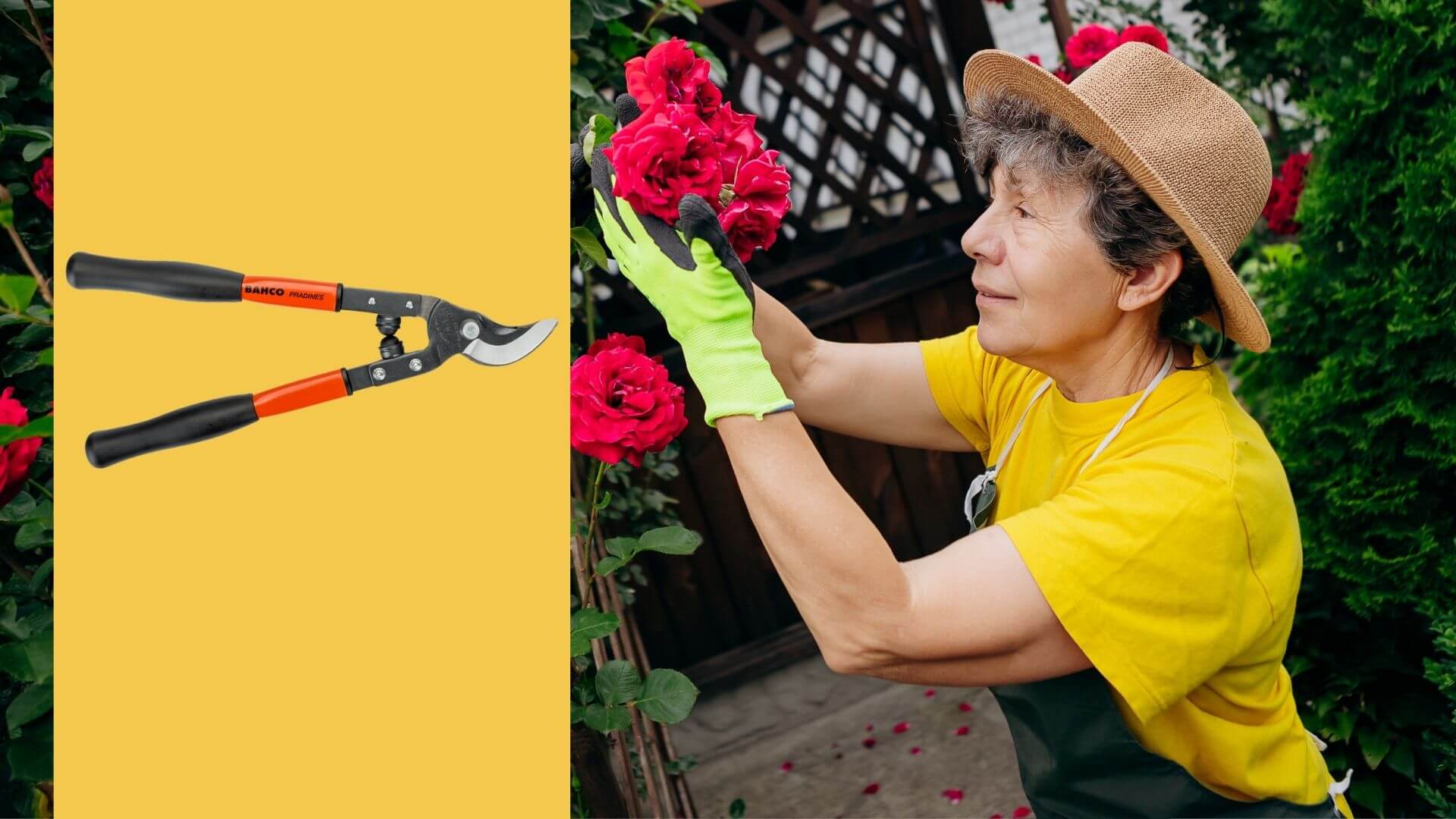 Çift Kollu Budama Makası Ne İşe Yarar