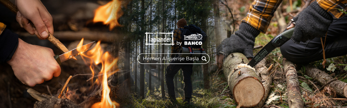 laplander