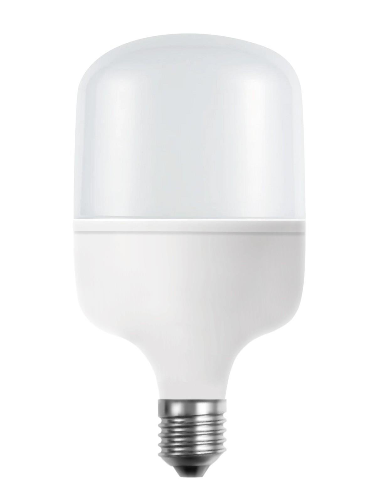 40W SMD TORCH LED AMPUL 6500K