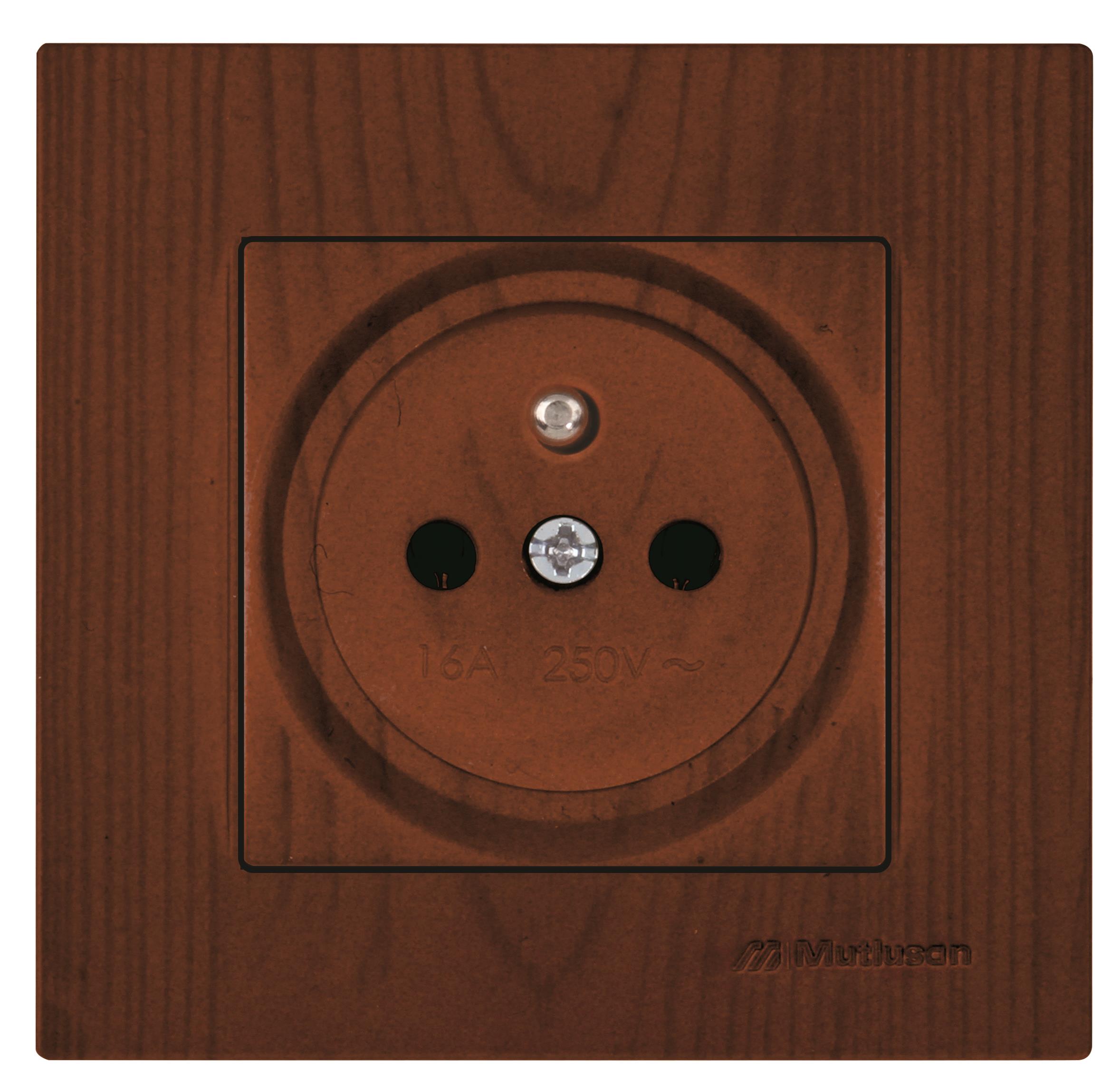 UPS FRANSIZ PRİZİ RİTA CEVİZ