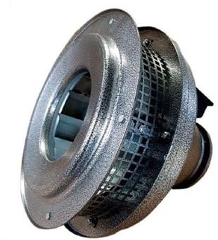 RF31.2 ÇATI FANI