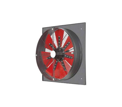 Fan