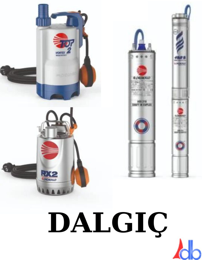 Dalgıç