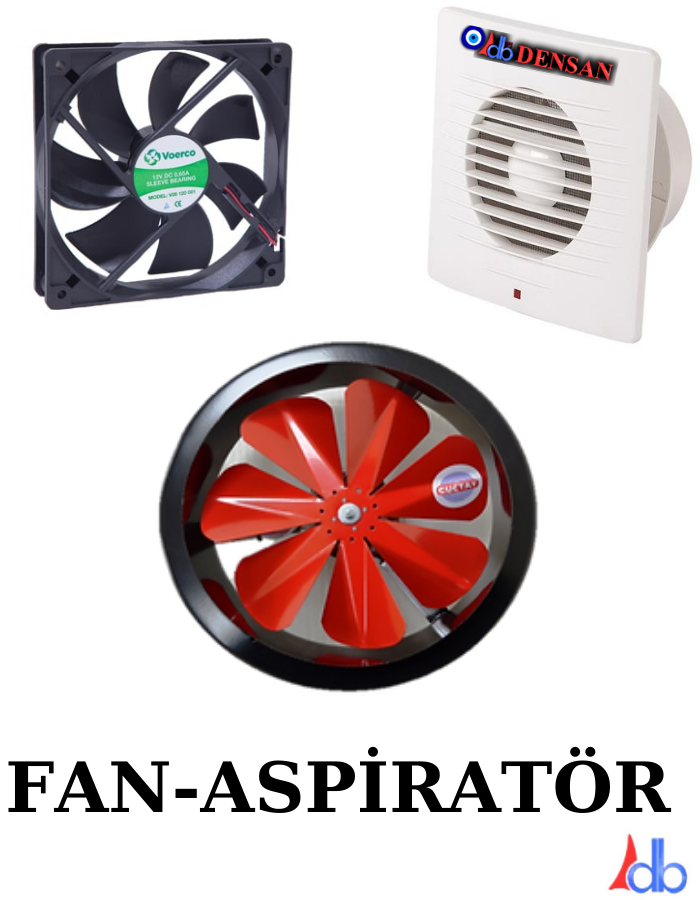 Fan