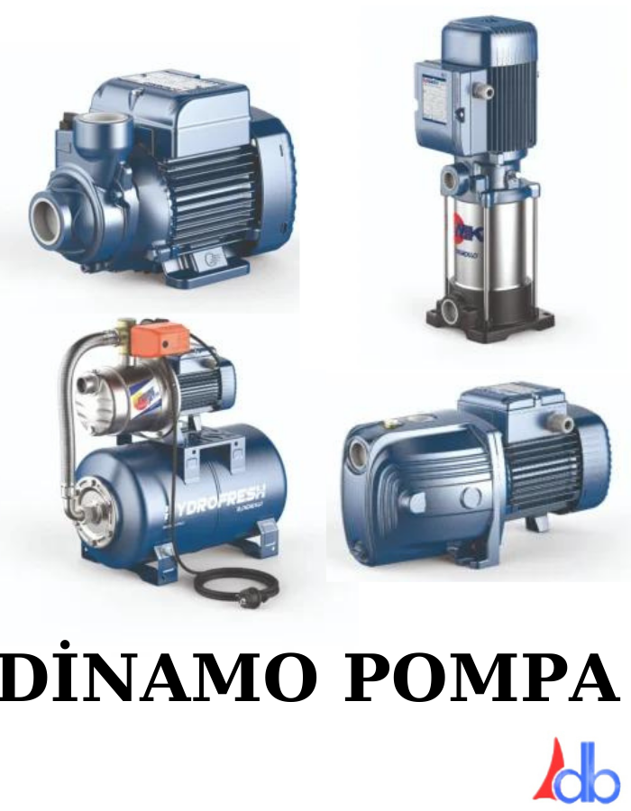 Dinamo