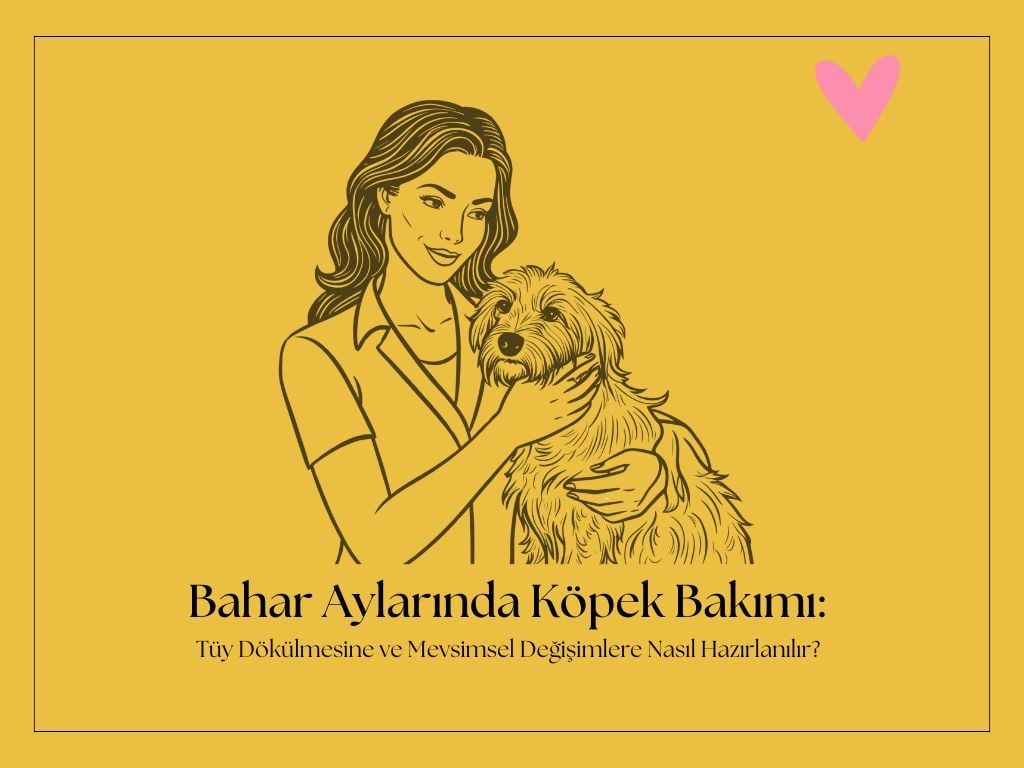Bahar Aylarında Köpek Bakımı
