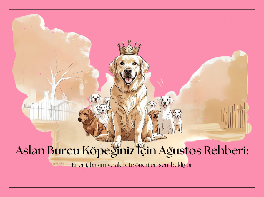 Burçlara Göre Köpek Bakımı - Aslan Burcu Köpekler