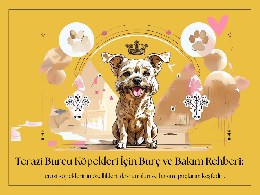 Köpek Astrolojisi: Terazi Burcu Köpekleri