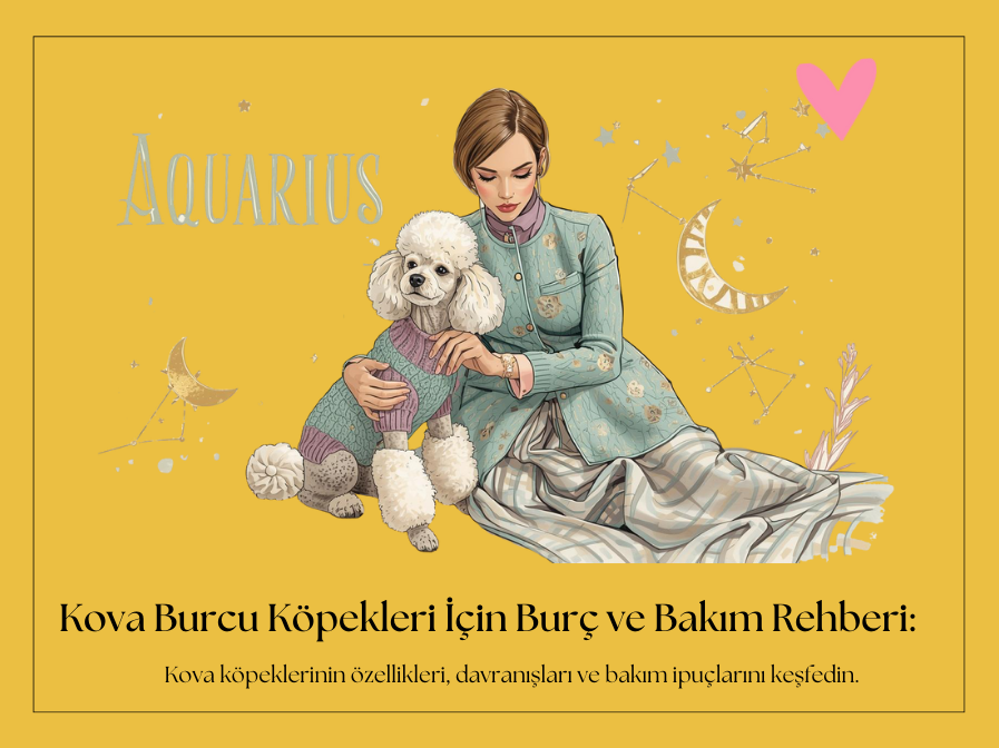 Kova Burcu Köpeklerin Astro Profili
