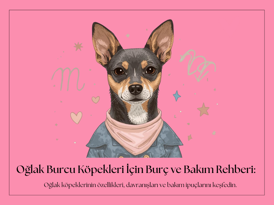 Oğlak Burcu Köpekler: Disiplinli, Sadık ve Düzen Seven Aile Dostları
