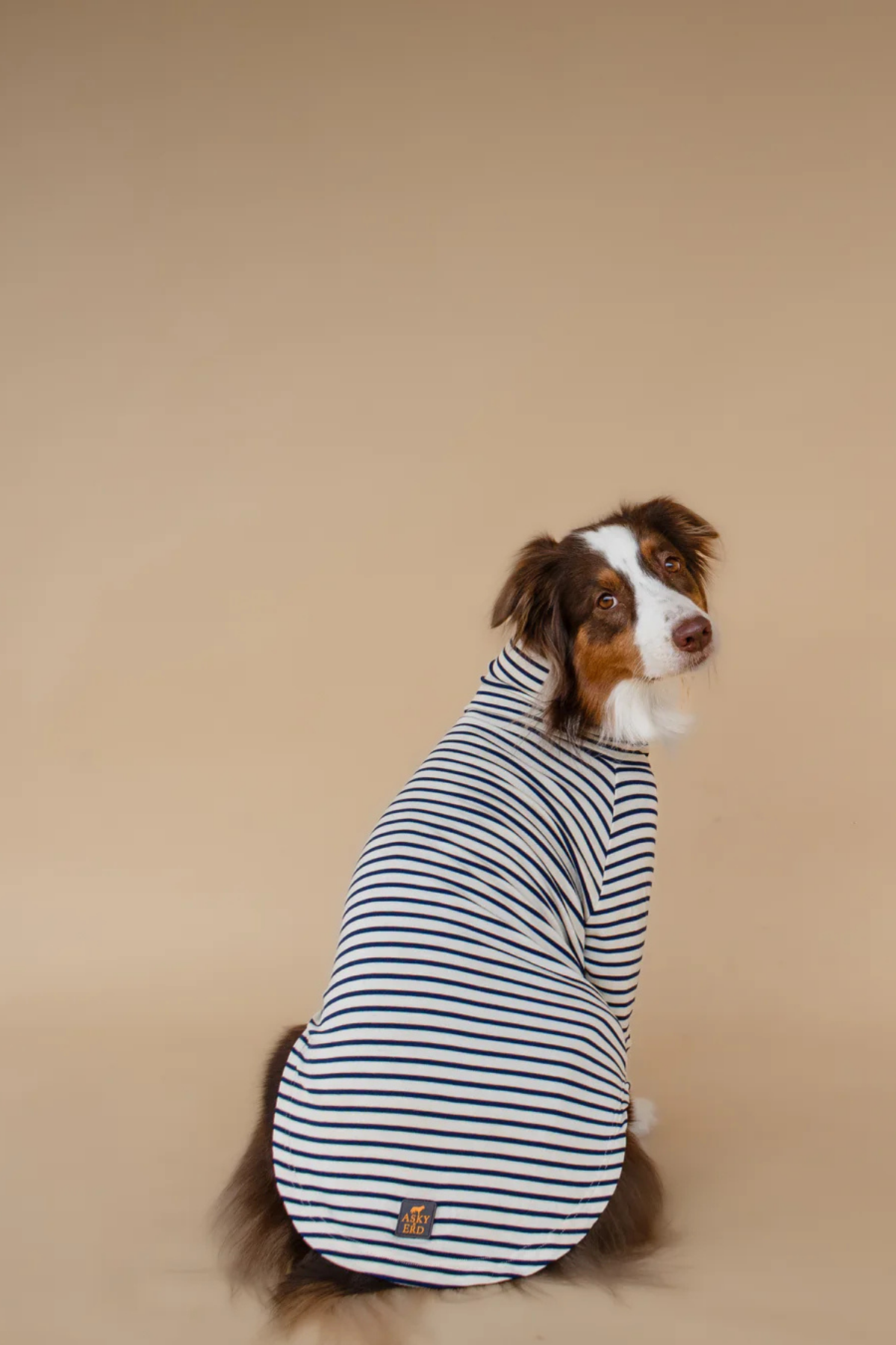Asky&Erd Turtleneck Tshirt | Coastal Navy