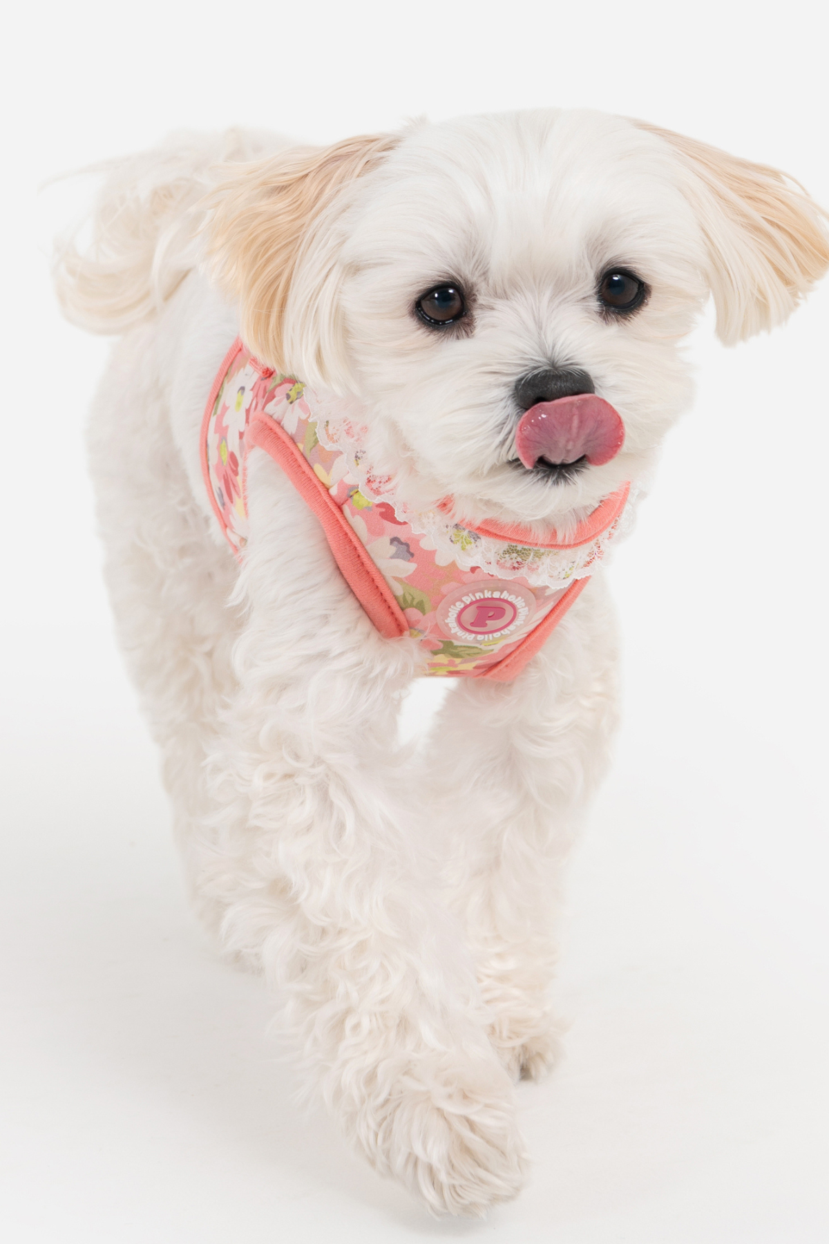 Pinkaholic New York Lilibeth Yelek Köpek Göğüs Tasması Pembe 