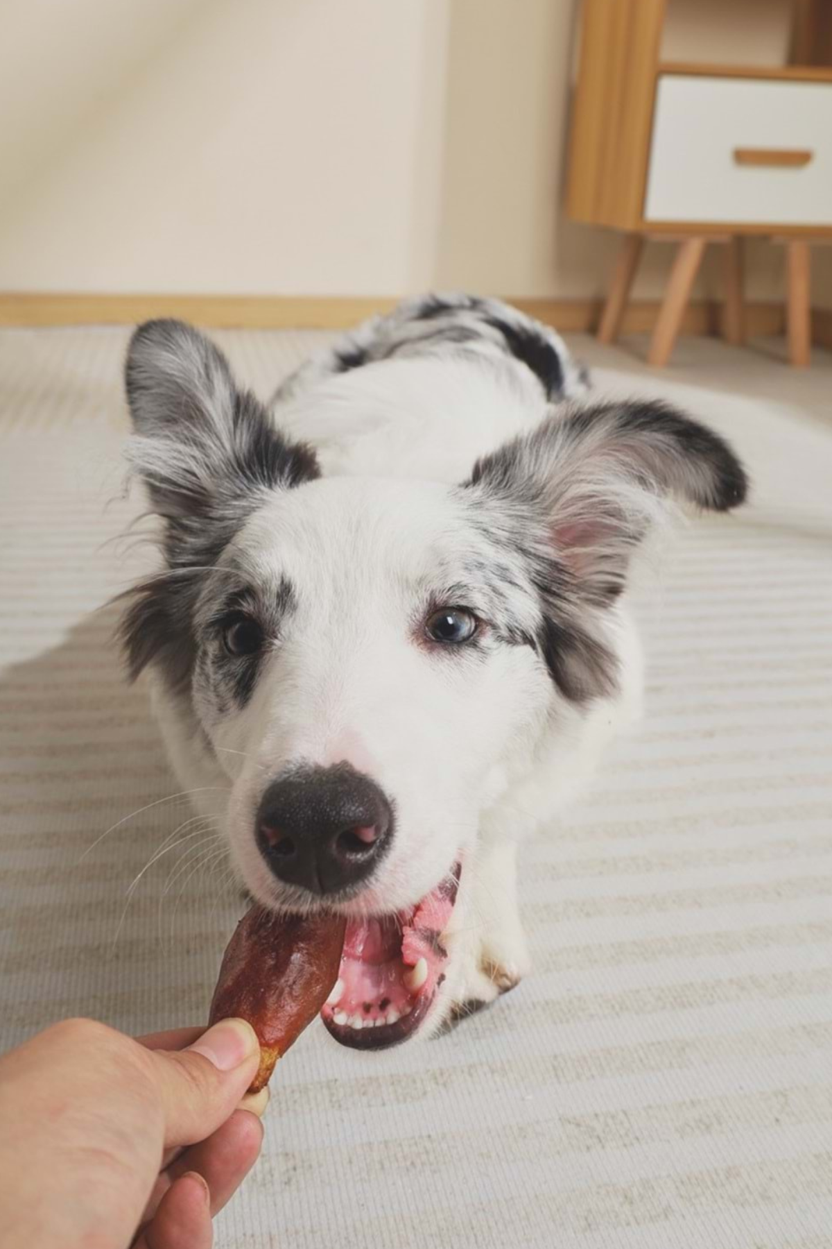 M-PETS BBQ KINGS RIB BITES CHICKEN ÖDÜL 115GR