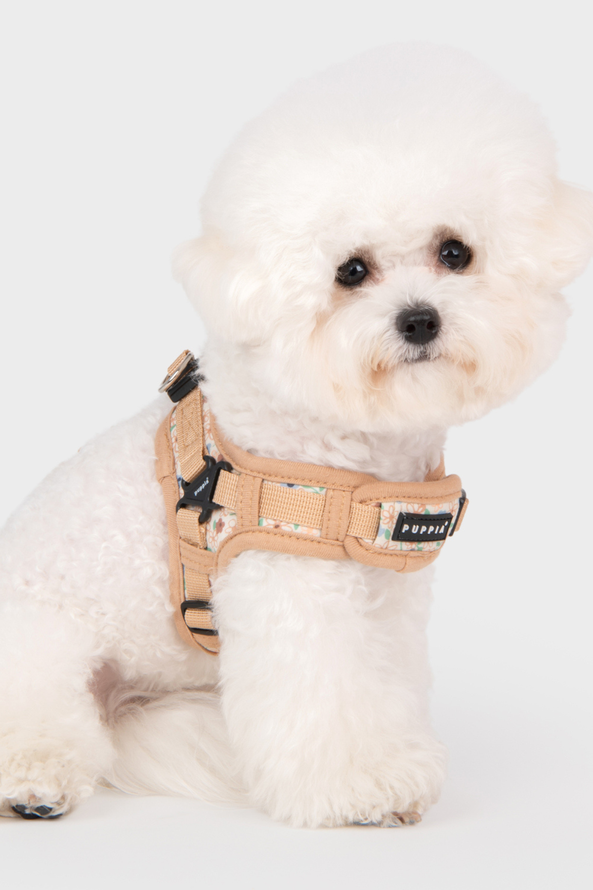 Lilac Harness X Köpek Göğüs Tasması Bej 