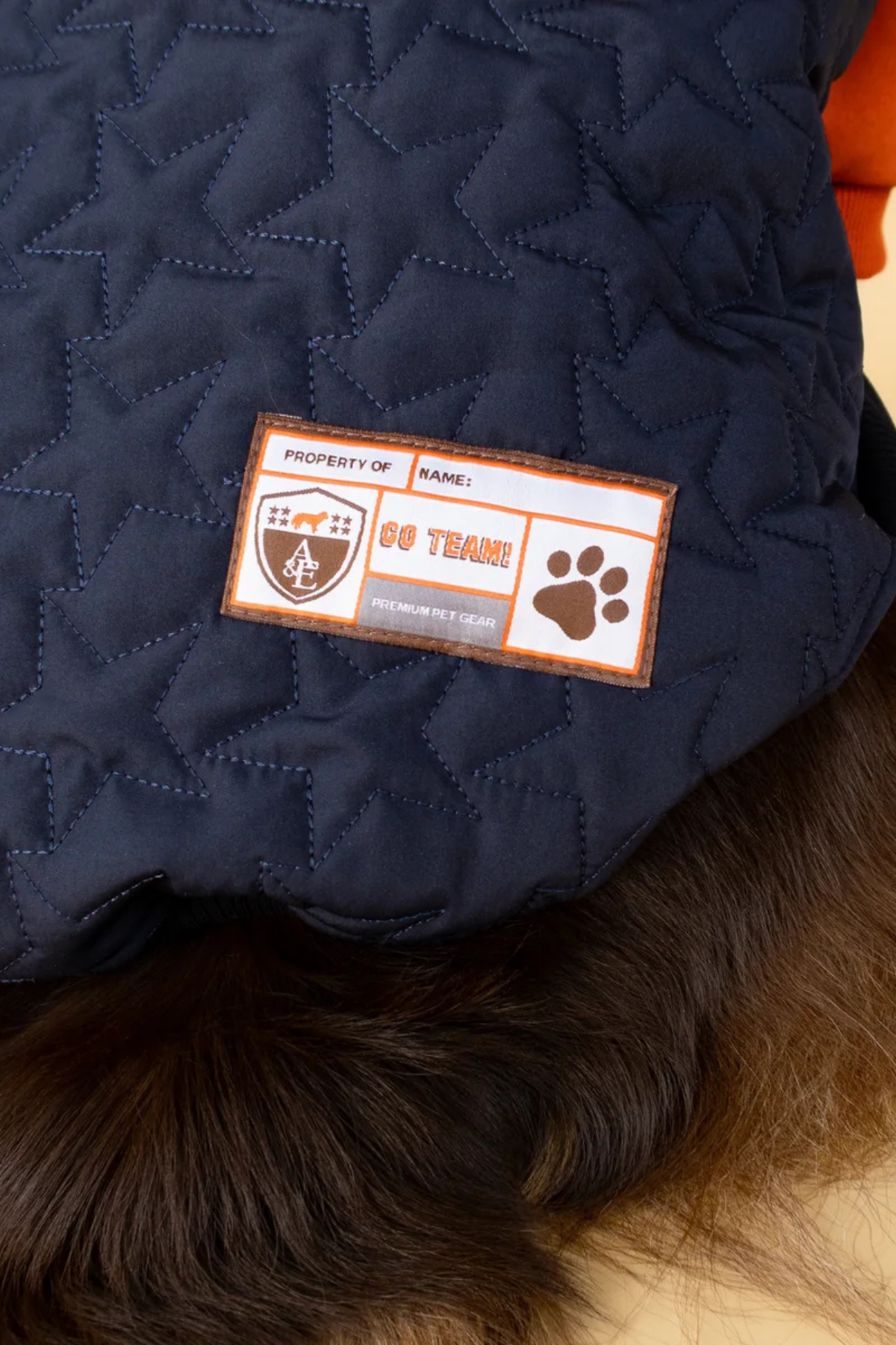 Asky And Erd Star Varsity Hoodie Terracotta