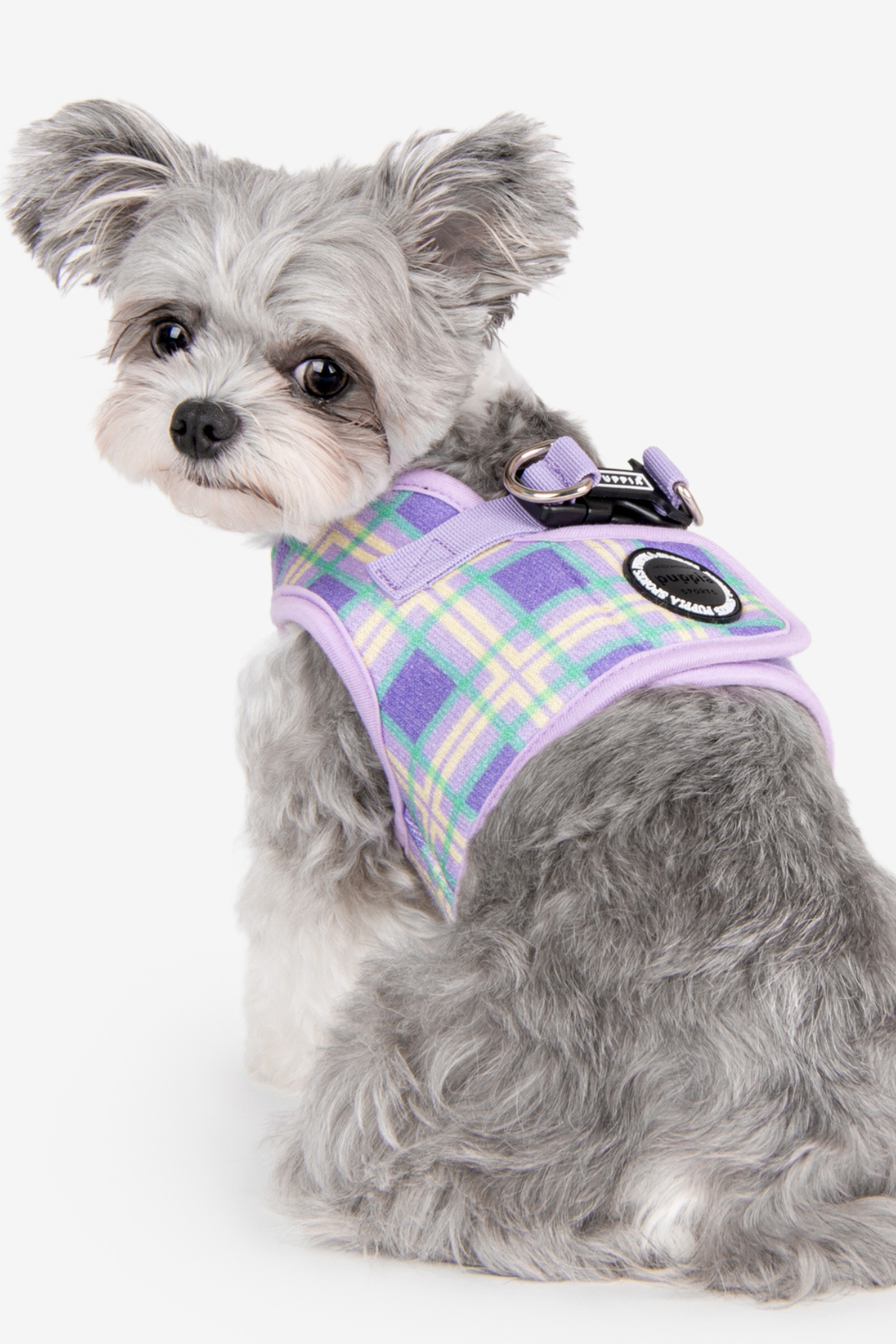 Jaylen Harness B Köpek Göğüs Tasması Mor