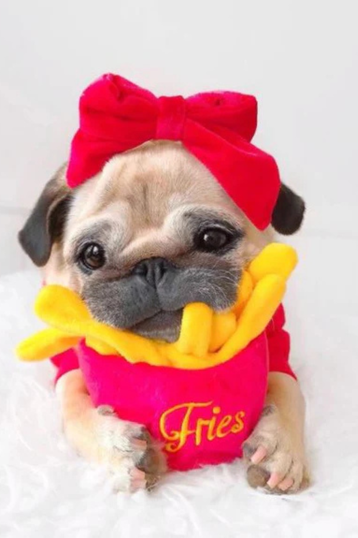 Play San Francisco Frenchie Fries Köpek Oyuncağı