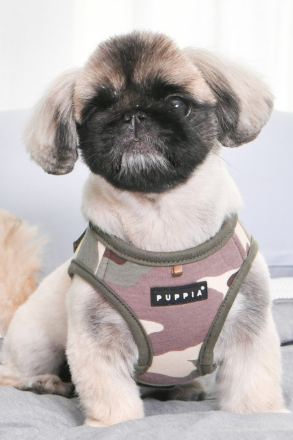 Lance Harness B Köpek Göğüs Tasması Kamuflaj 