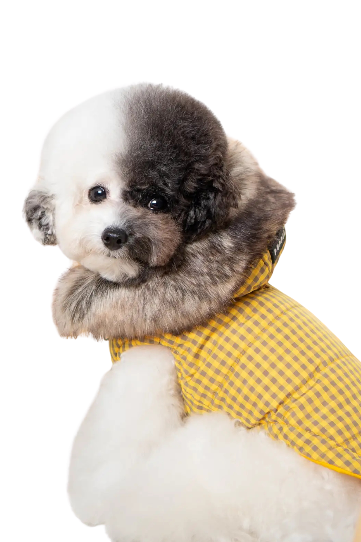 Puppia Hollis Tersyüz Kürklü Kapüşonlu Köpek Montu Sarı