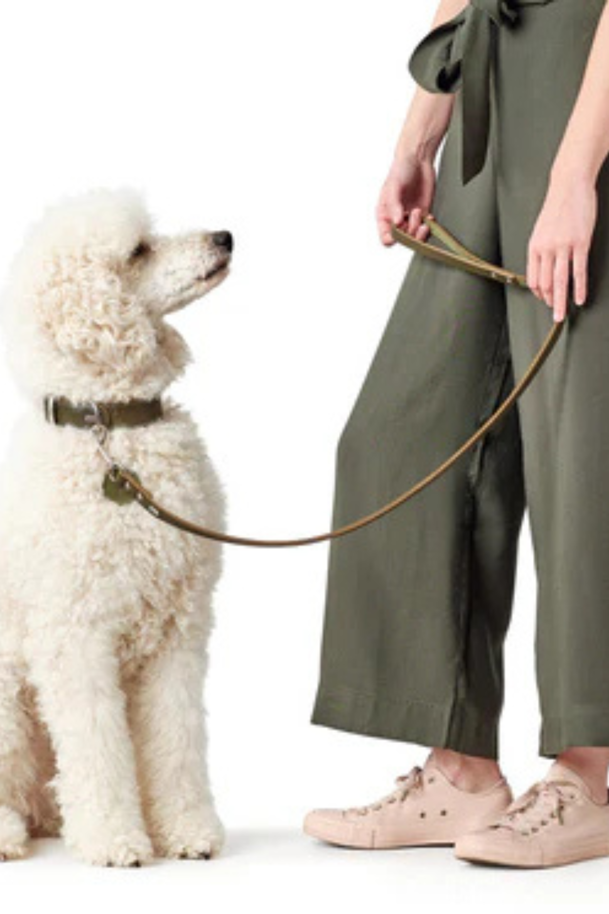 Hunter Aalborg Köpek Gezdirme Kayışı Olive 2 cm/100 cm