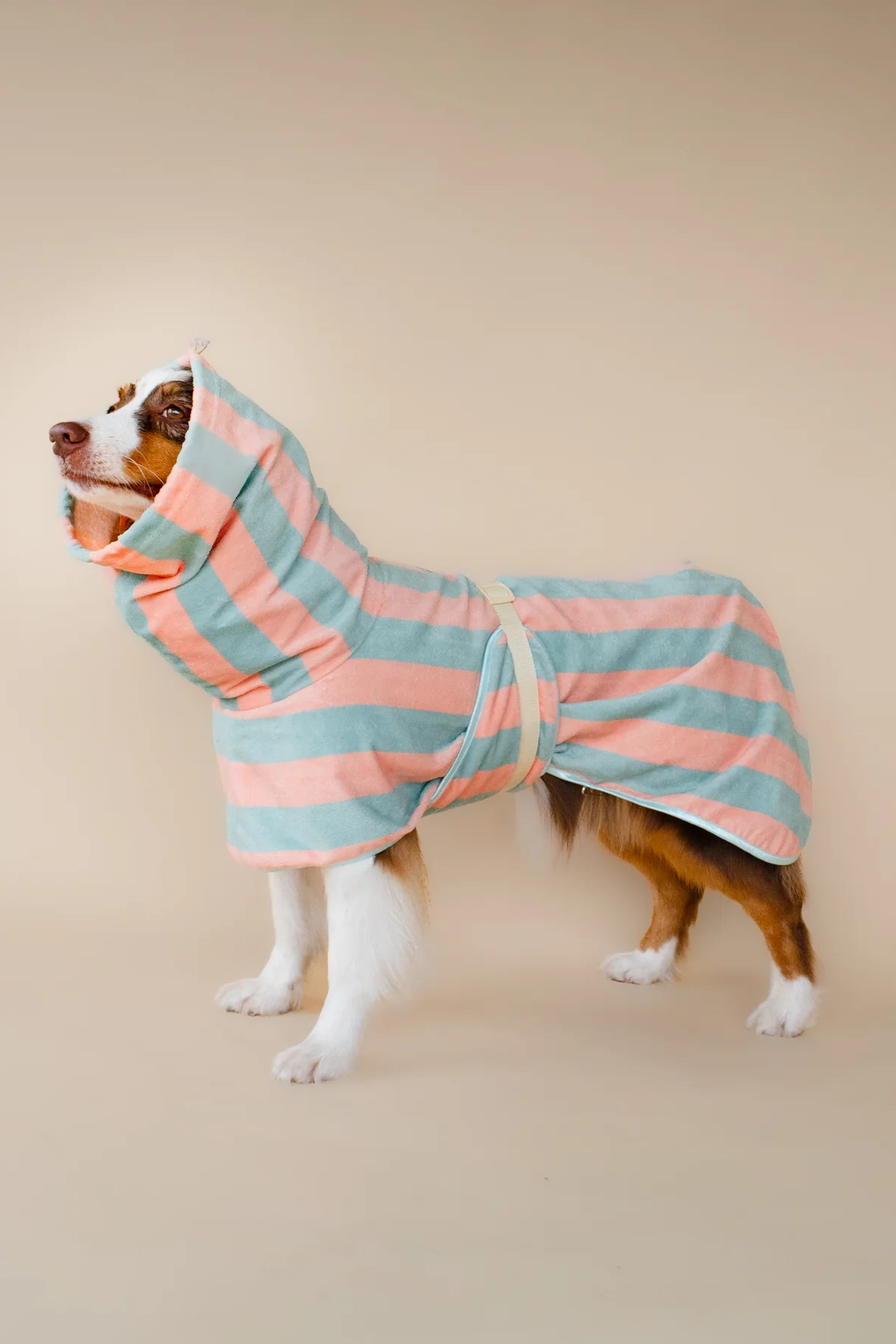 Asky&Erd Soft Rituals Cepli Köpek Kurulama Havlusu Deniz Köpüğü ve Somon Rengi Çizgili Pijamalar ve Bornozlar