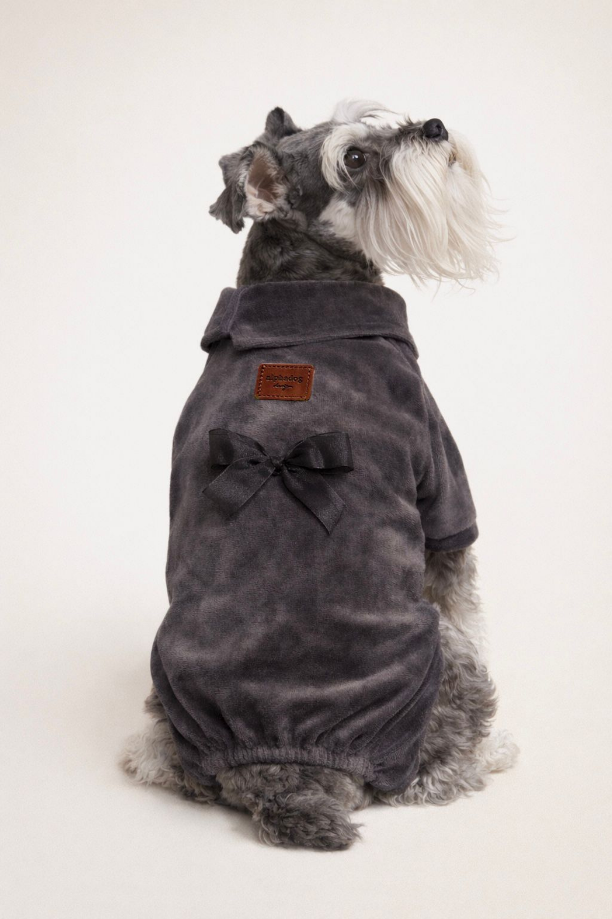 Alphadog Fiyonklu Köpek Tulum Antrasit