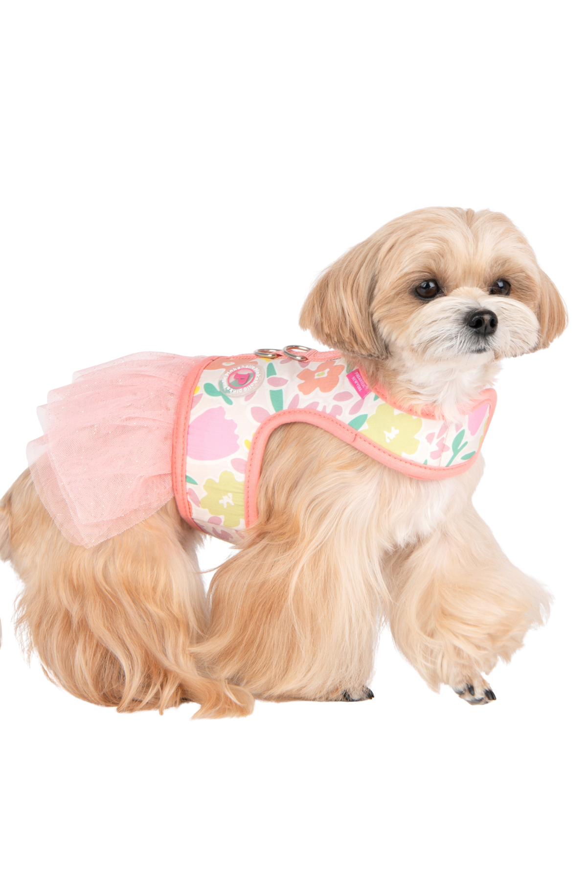 Pinkaholic New York Evanthe Flirt Harness Elbise Göğüs Tasması Pembe