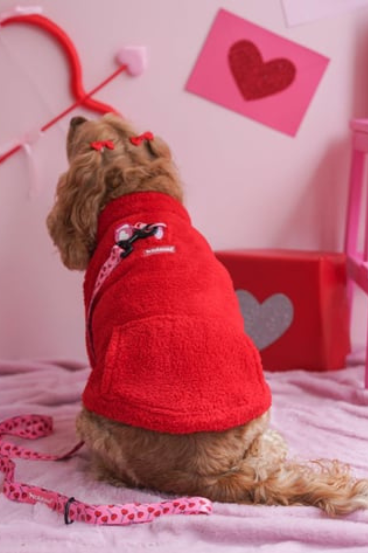 Lolidogs Köpek Bomber Ceket | Cherry
