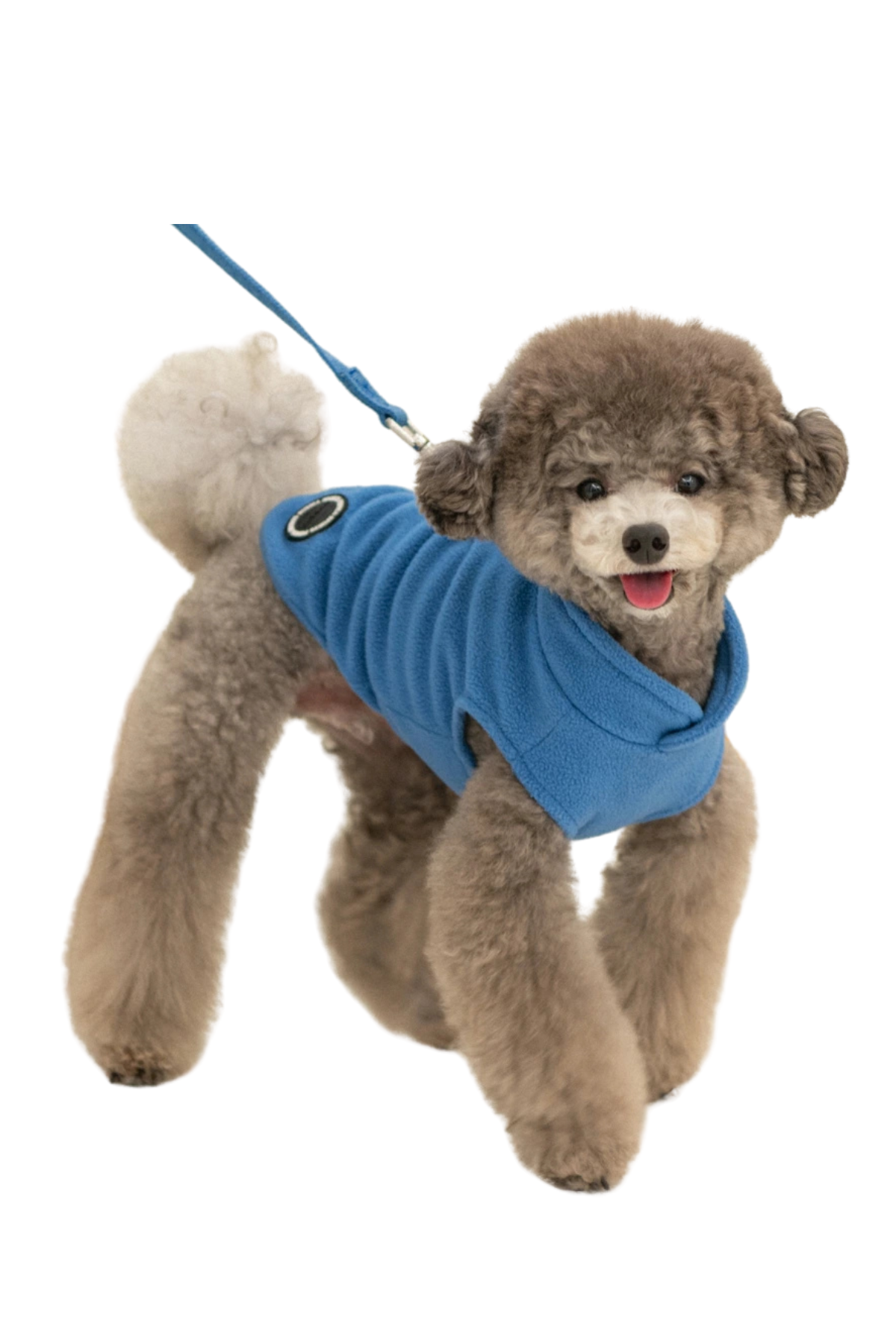 Puppia Lucius Mont-Göğüs Tasması - Mavi