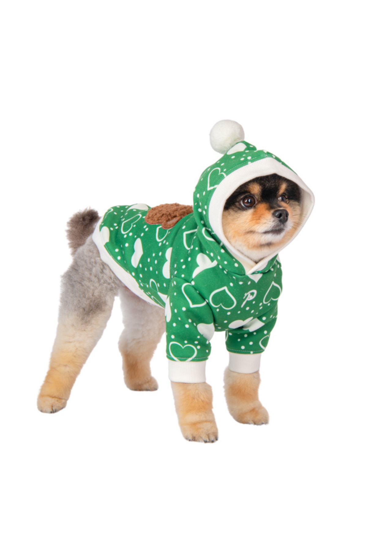 Puppia Fuzzy Bear Kapüşonlu Köpek Kazağı - Yeşil